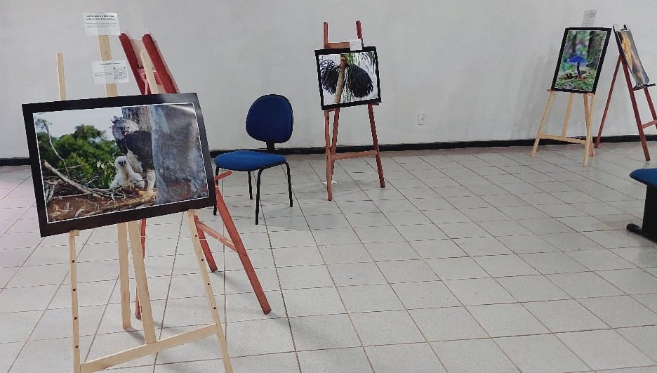 EXPOSIÇÃO: ‘Sustentabilidade Presente e Futuro’ é tema de mostra artística na Ivan Marrocos