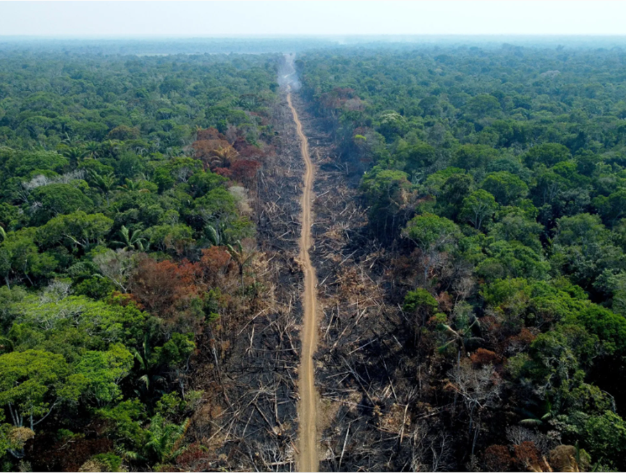 Desmatamento: Amazônia perdeu 555 km² somente no mês de novembro, informa INPE