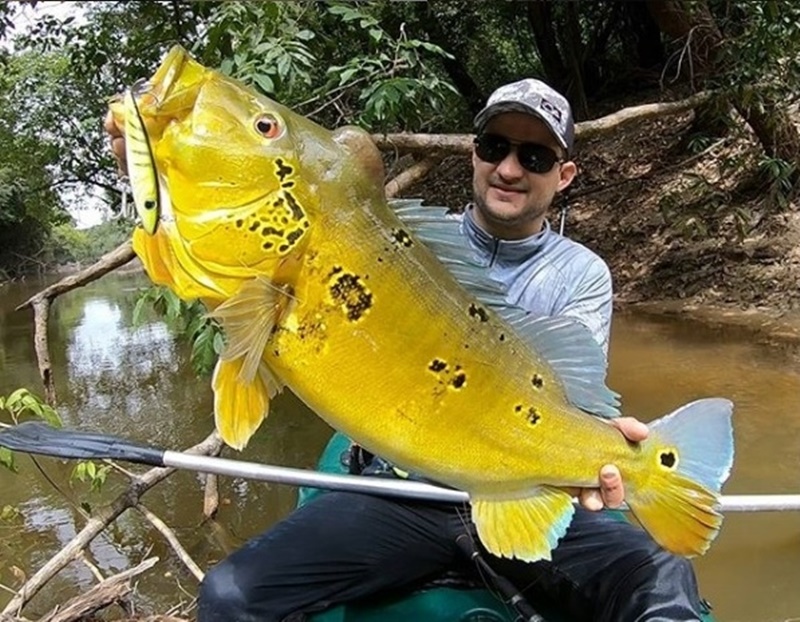 PESCA ESPORTIVA: Conetur promove o turismo da pesca esportiva em Rondônia 