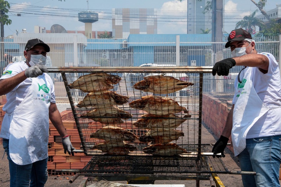 AMAZÔNIA: Região do Café recebe III Festival Internacional do Tambaqui