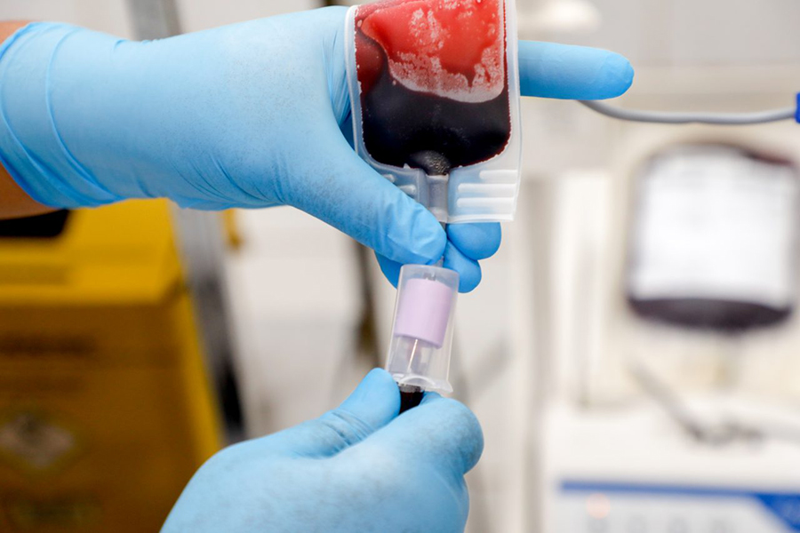 CORRIDA DA INDEPENDÊNCIA: Mais de 700 bolsas de sangue são doadas durante período de inscrições