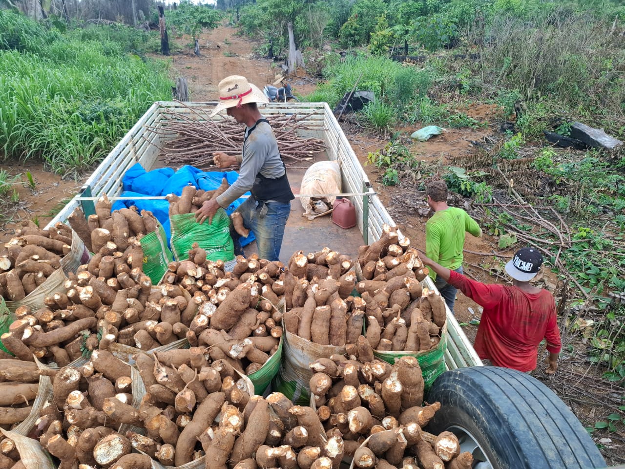 FEIRA DA AGROINDÚSTRIA: Agrotec celebra a força e o crescimento da agricultura familiar de Porto Velho