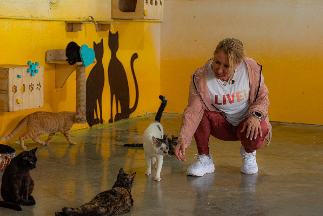 IEDA CHAVES: Deputada doa salário e destina mais de R$ 2,3 milhões para a causa animal em RO