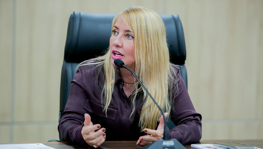 IEDA CHAVES: Deputada sugere afixação de cartazes com canais para denúncias de abuso infantojuvenil