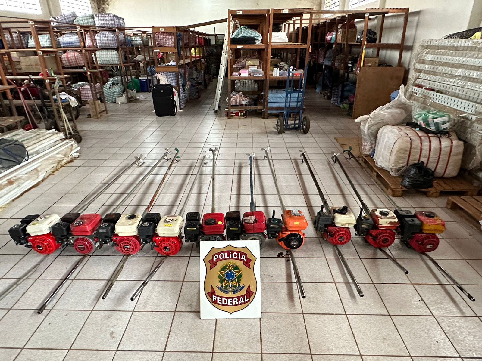 CUTIA 360°: Operação da PF e ICMBio combate desmatamento e caça em Parque Nacional 