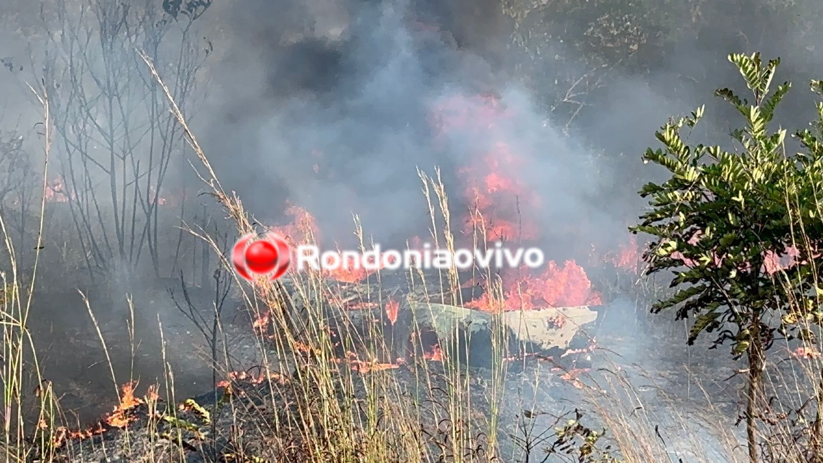 URGENTE: Mulher morre carbonizada após caminhonete pegar fogo em capotamento na BR-364 