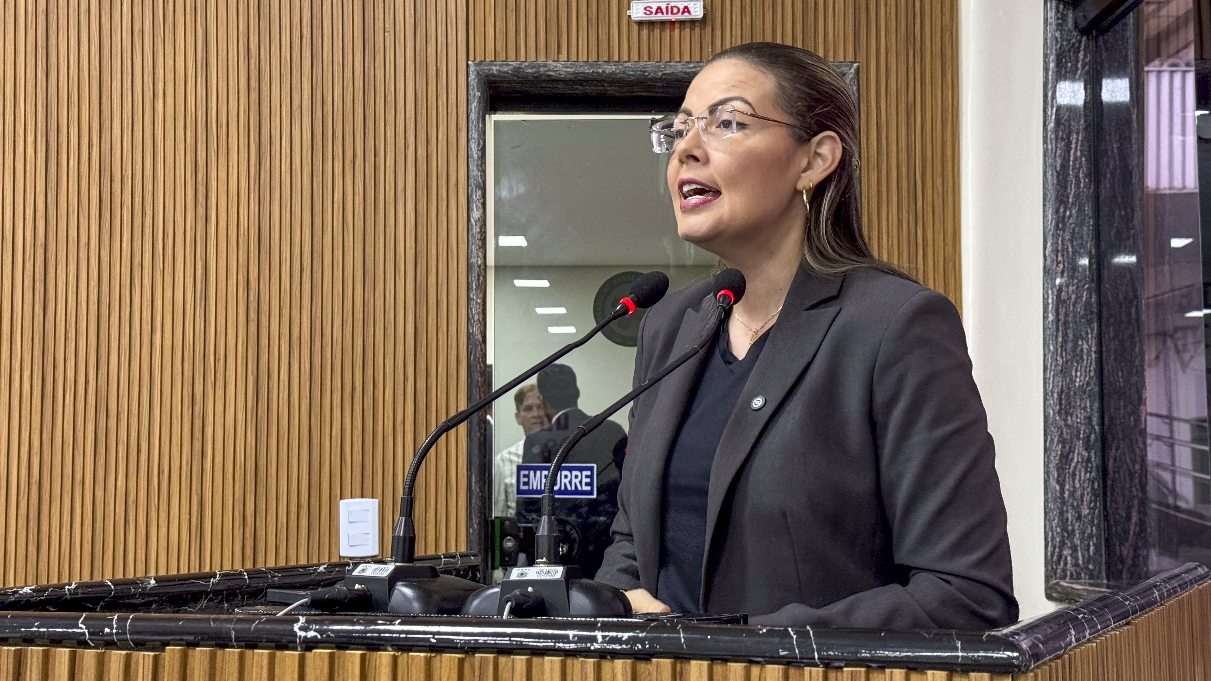 EM PORTO VELHO: Lei de Sofia Andrade é sancionada e promete acabar com a poluição visual