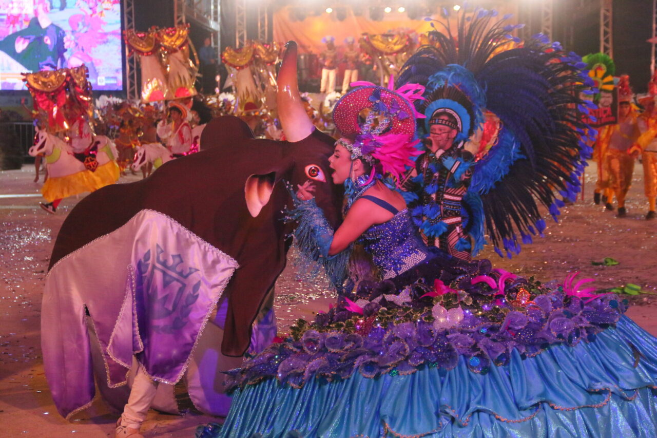  MARRONZINHO: Bairro Vila Tupi em festa com o título de campeão do boi-bumbá no Flor do Maracujá