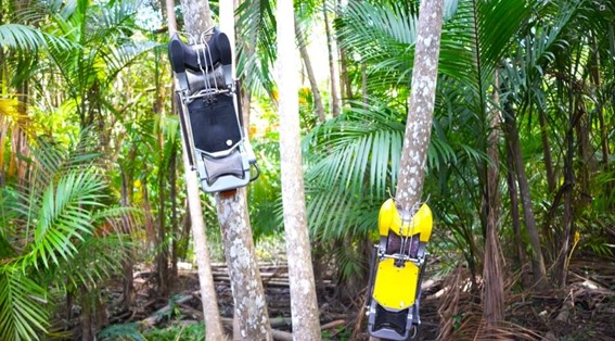 TECNOLOGIA DA AMAZÔNIA: Primeiro robô colhedor de açaí do país é vencedor do Prêmio Impacta Mais