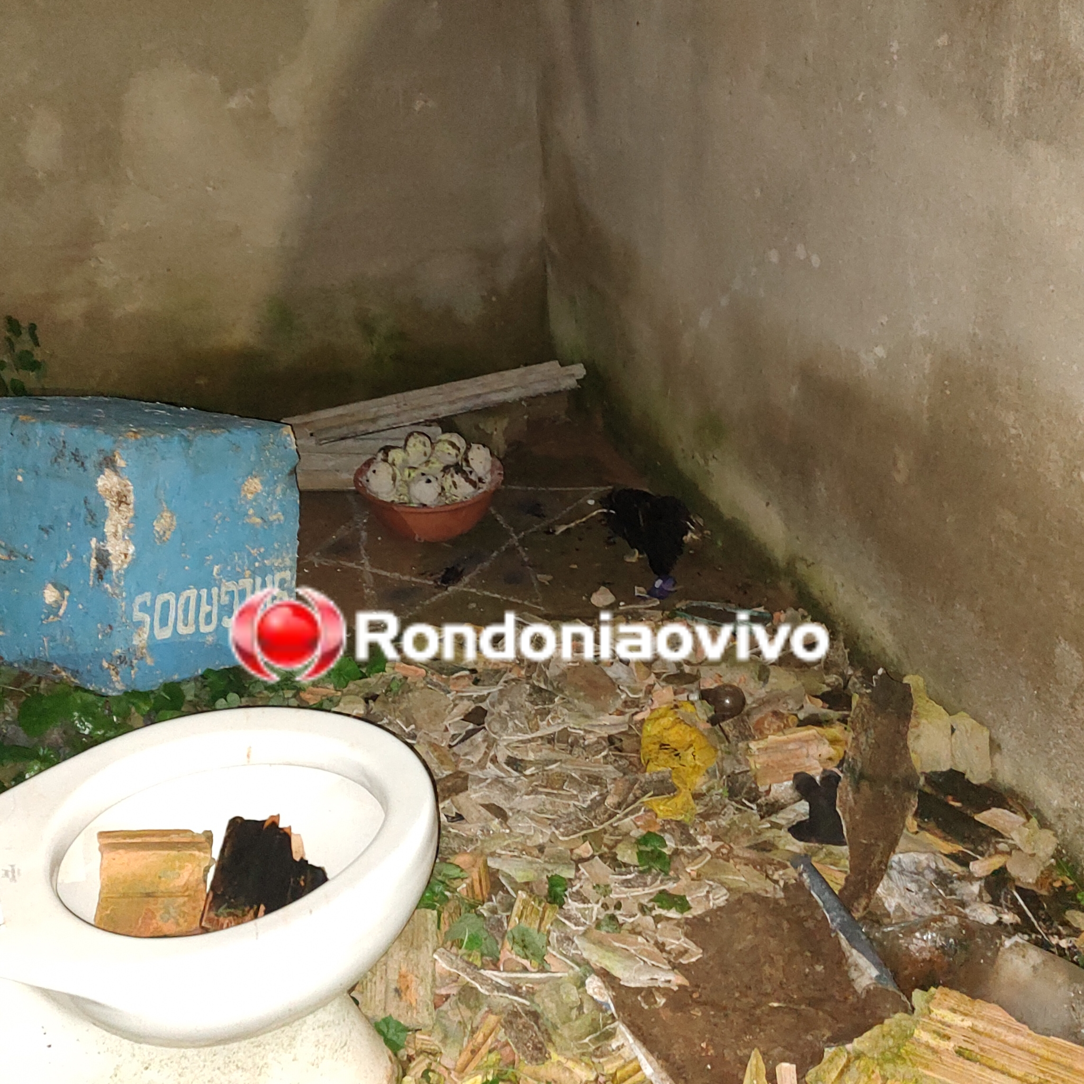 PERÍCIA CONFIRMOU: Crânio humano foi encontrado em despacho de macumba