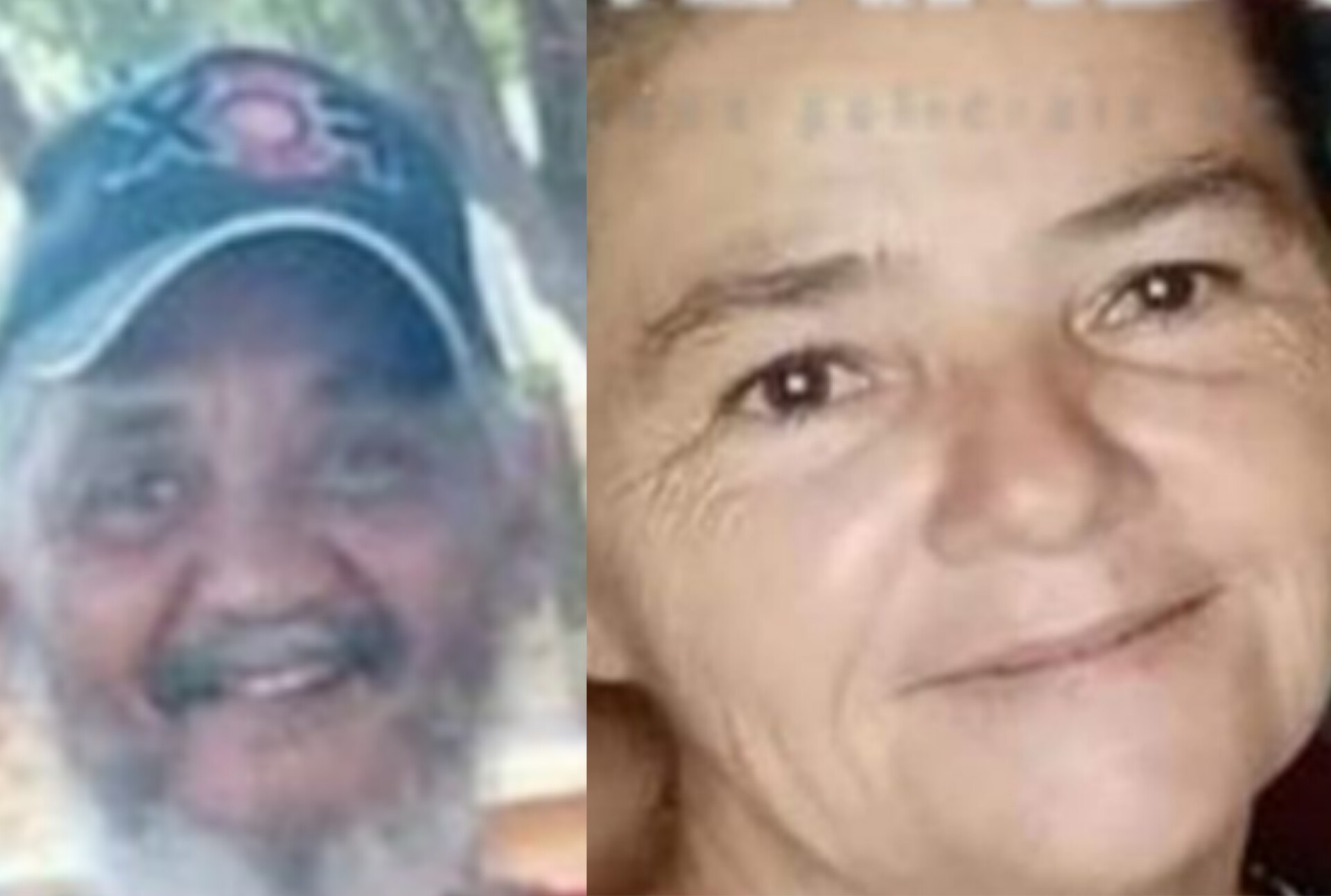 BÁRBARO: Casal é morto por cinco cães da raça Fila Brasileiro 