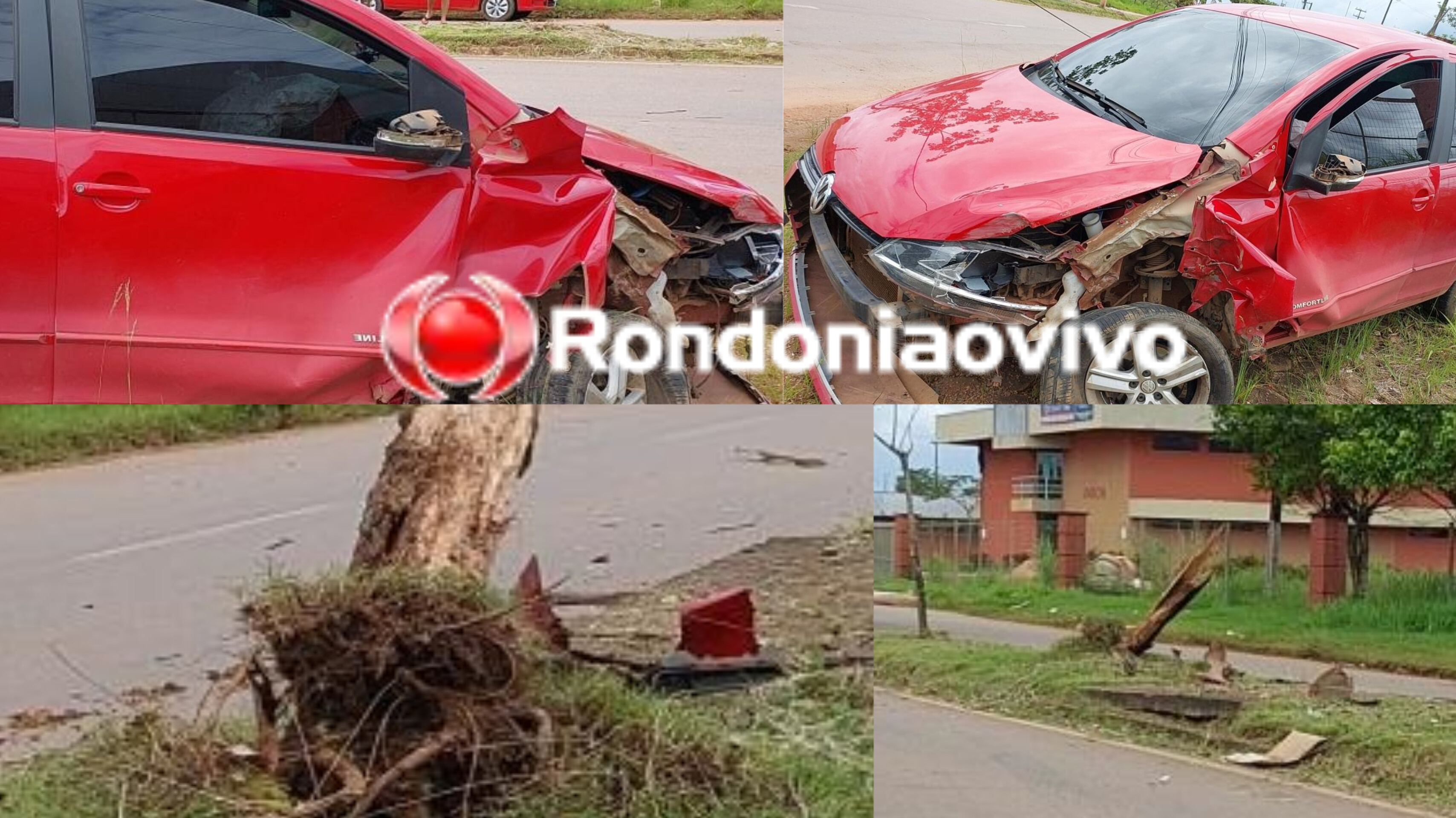 PERDEU O CONTROLE: Motorista de Fox derruba árvore no canteiro central em Porto Velho 