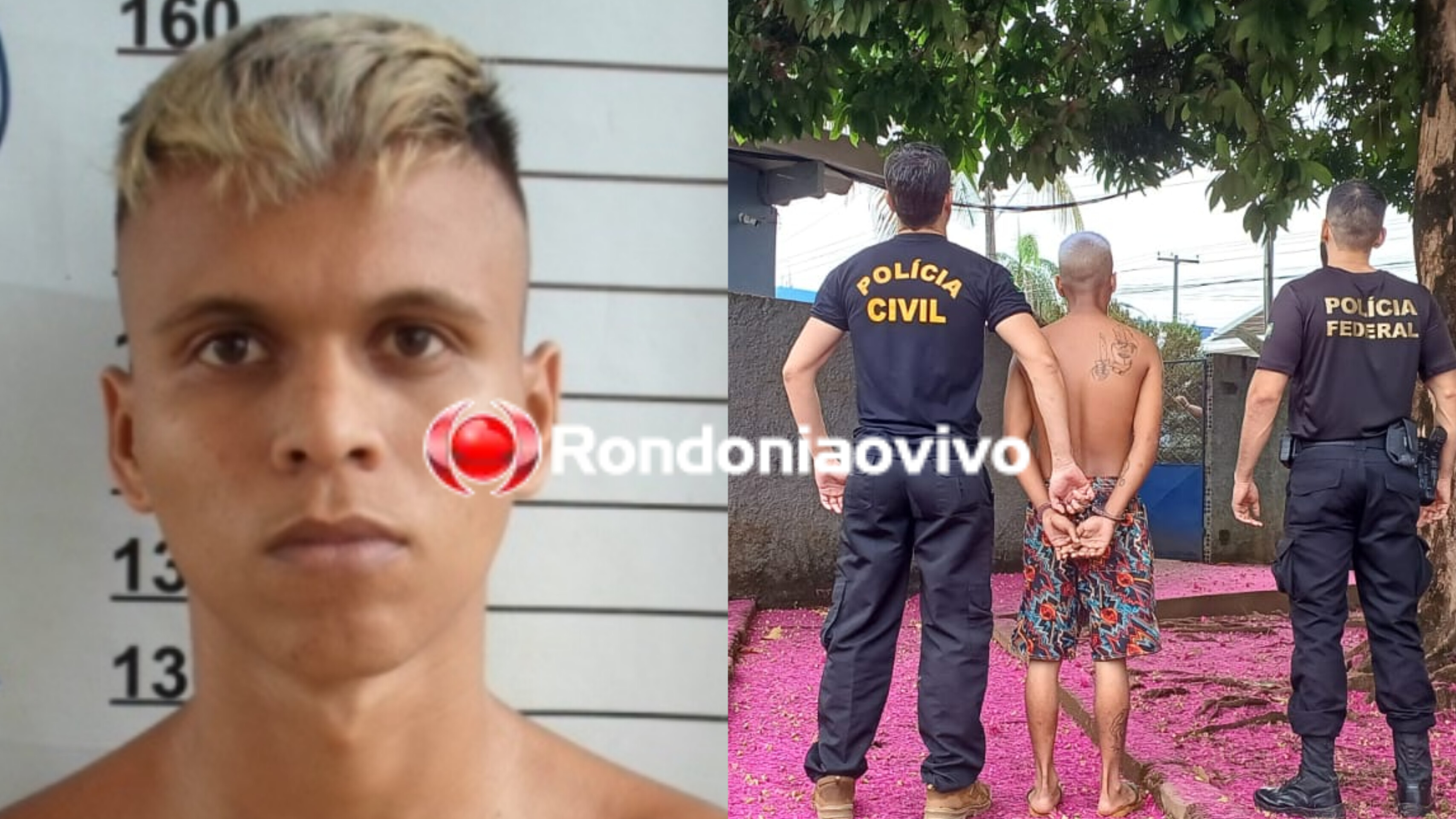 WOOD PIRATES: Identificado 'Pirata do Madeira' preso durante operação das forças de segurança 