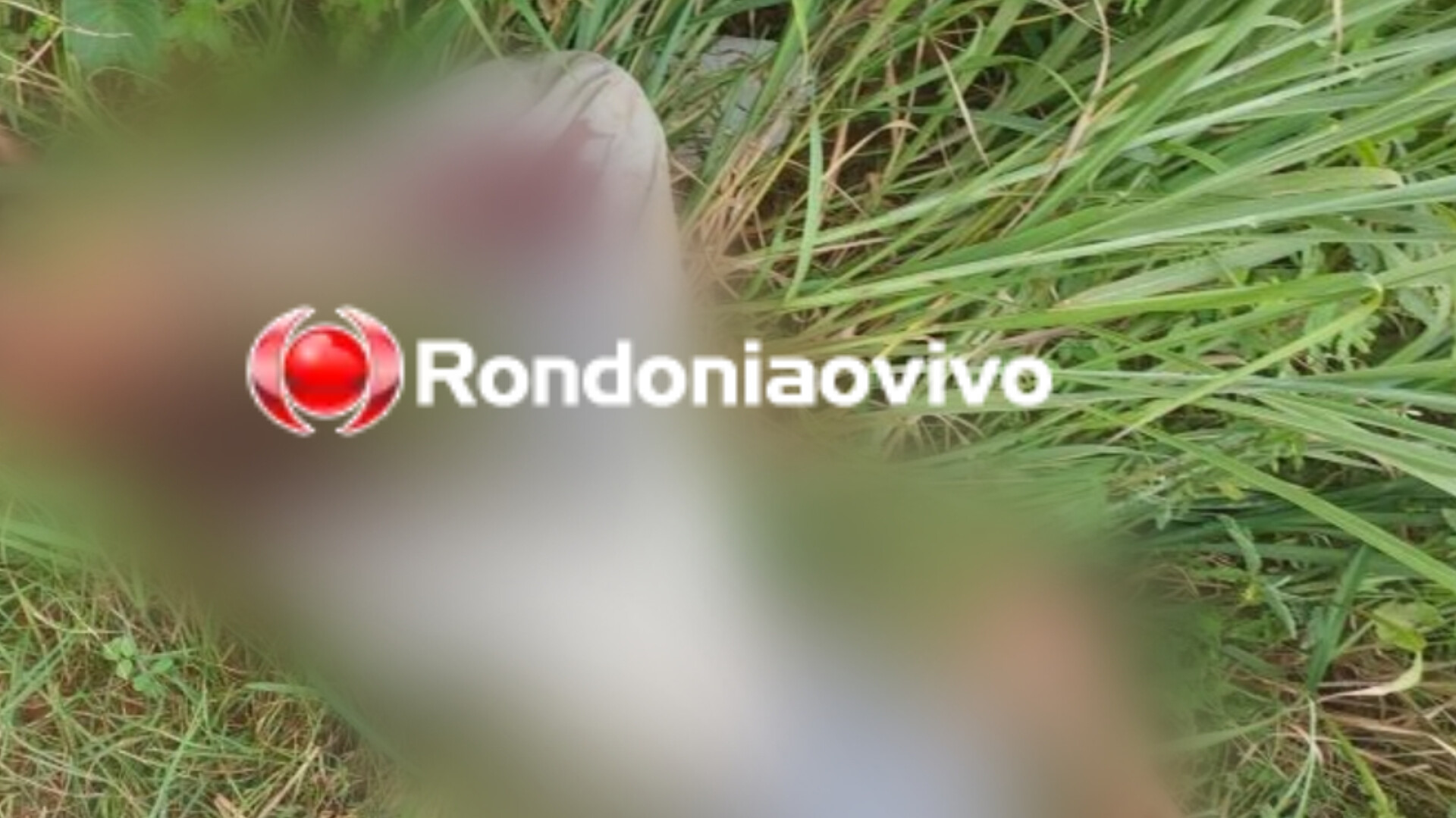 PORTO CRISTO: Homem é brutalmente espancado a pauladas e jogado de carro em  matagal