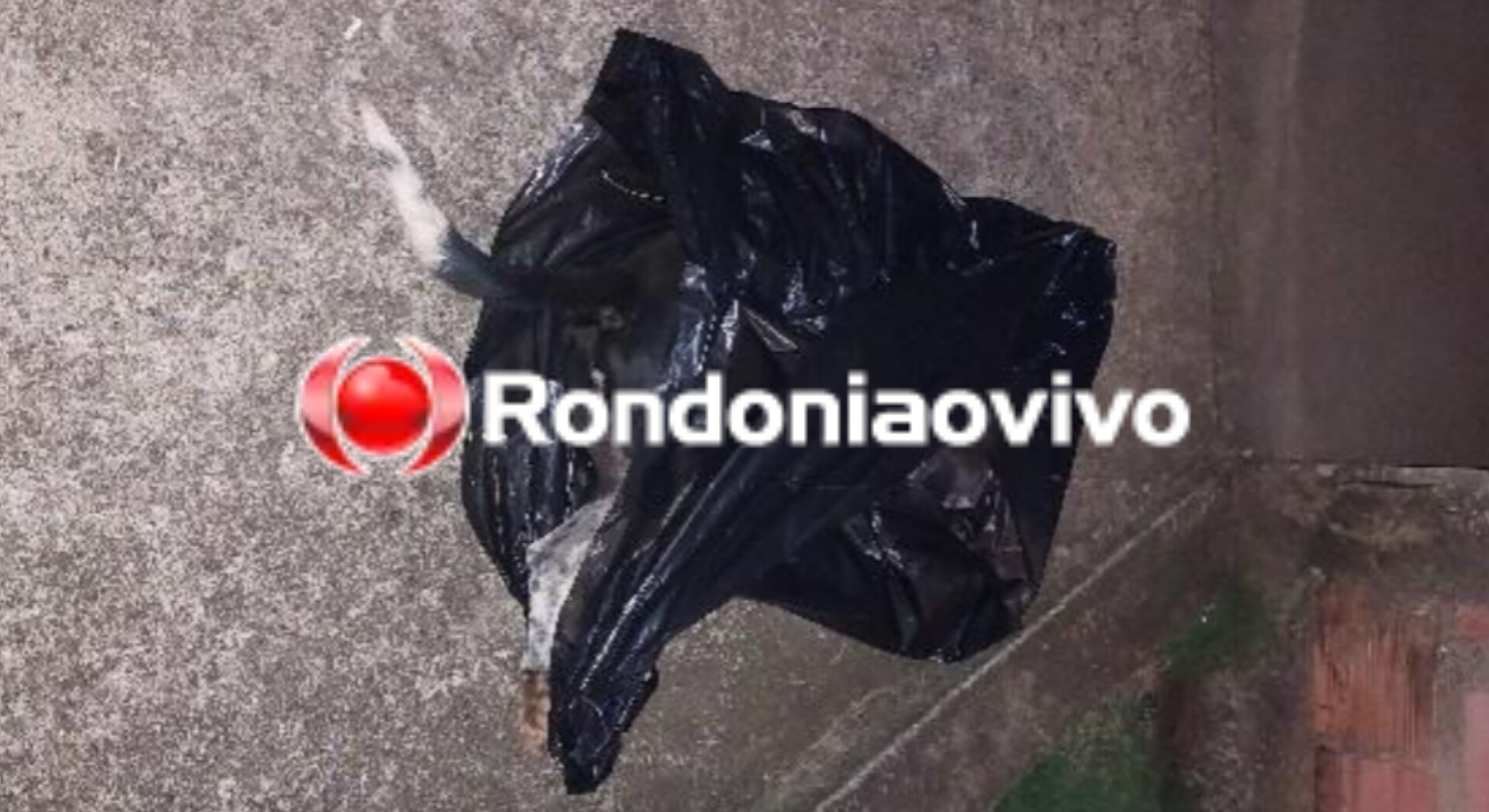 CRUELDADE: Criminoso mata cachorro a pauladas durante tentativa de roubo em residência 