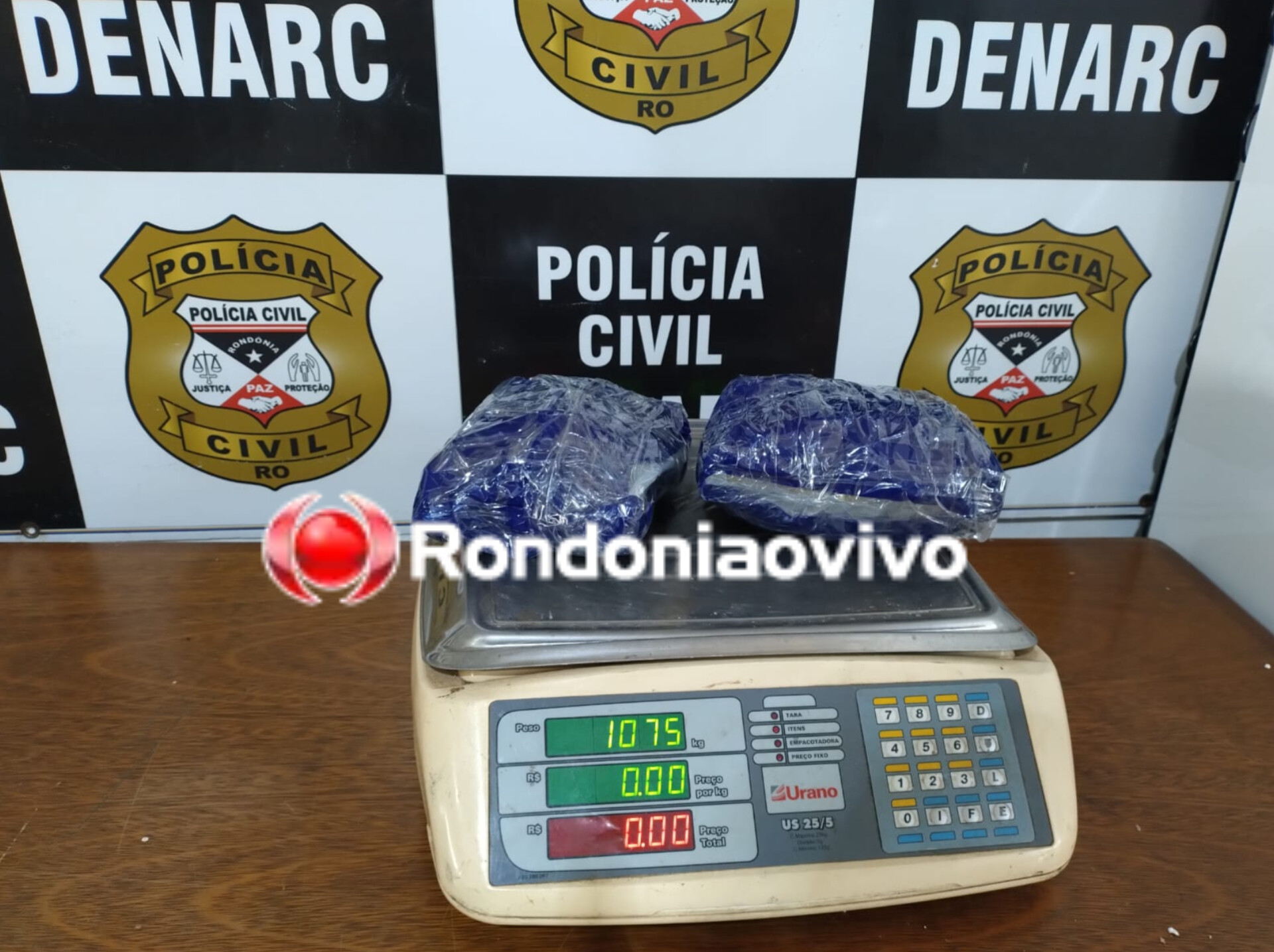 NO FARO: Denarc com 'cadela musa' realiza apreensão de maconha skunk em transportadora 