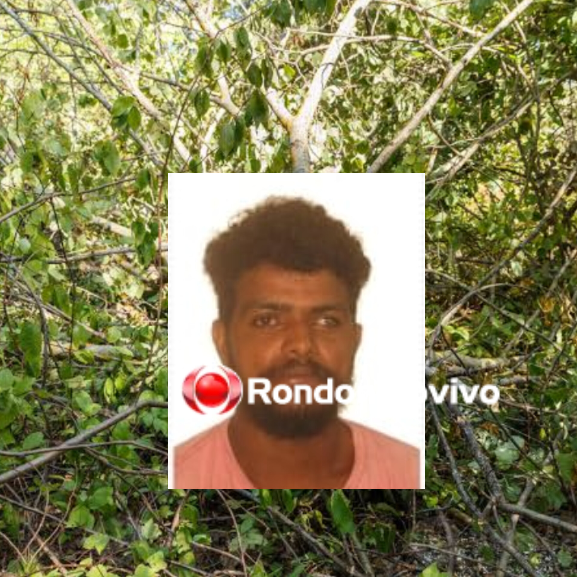 IDENTIFICADO: Trabalhador morre durante derrubada de árvore em Porto Velho 