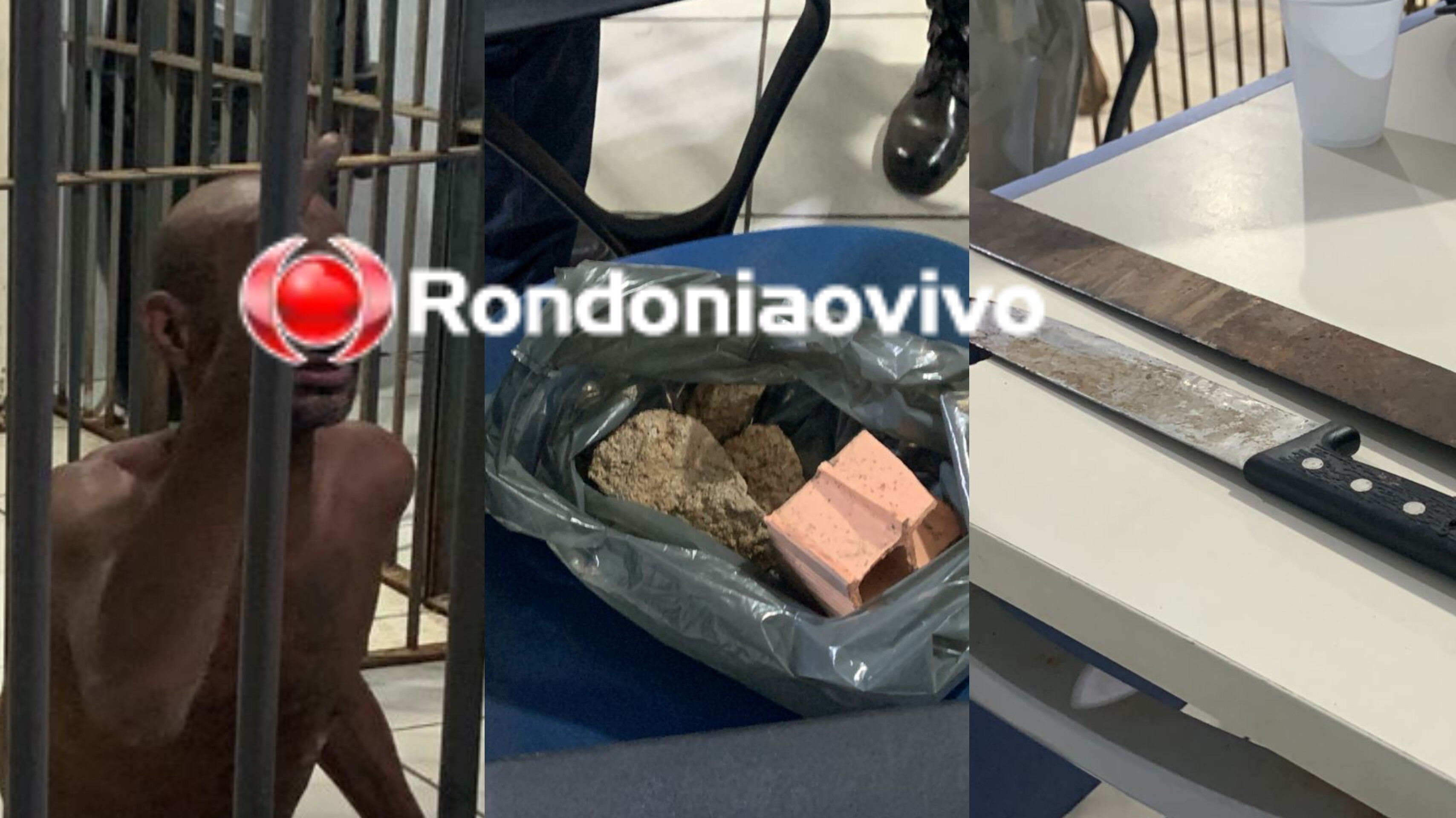 NAS ALTURAS: PM prende acusado que subiu em pé de árvore para mostrar órgão genital para vizinha 