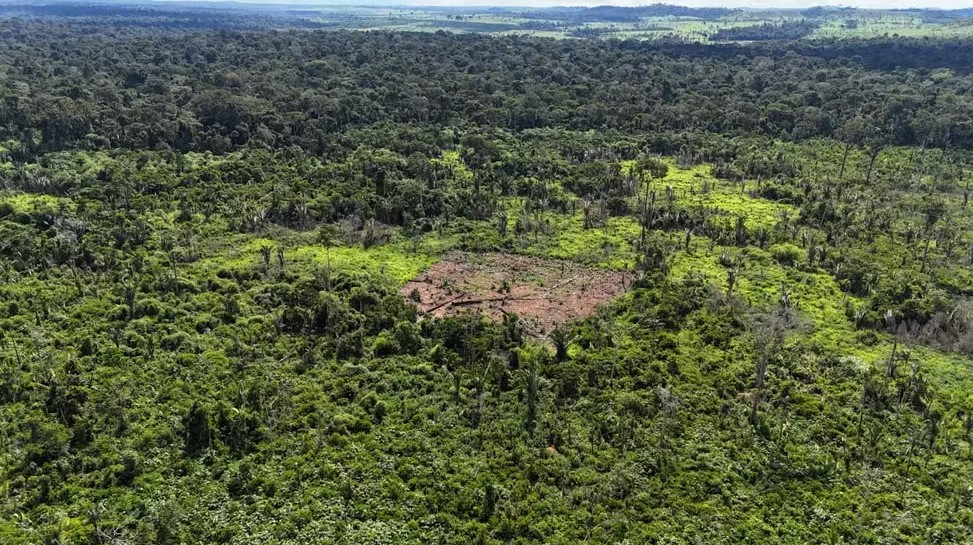 CRIMES: Indígenas denunciam desmatamento de invasores em território Karipuna