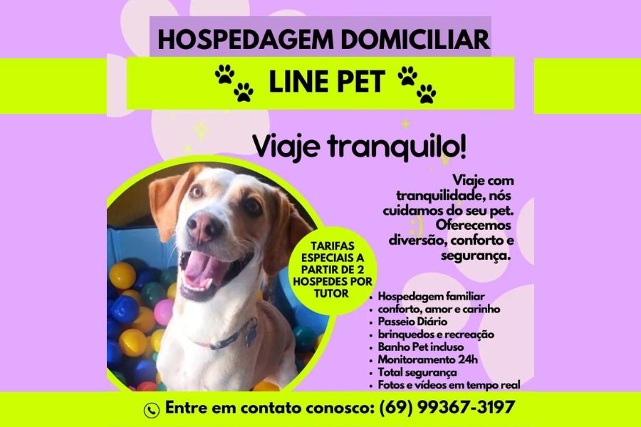 CINCO ESTRELAS: Line Pet agora oferece hospedagem para pets 