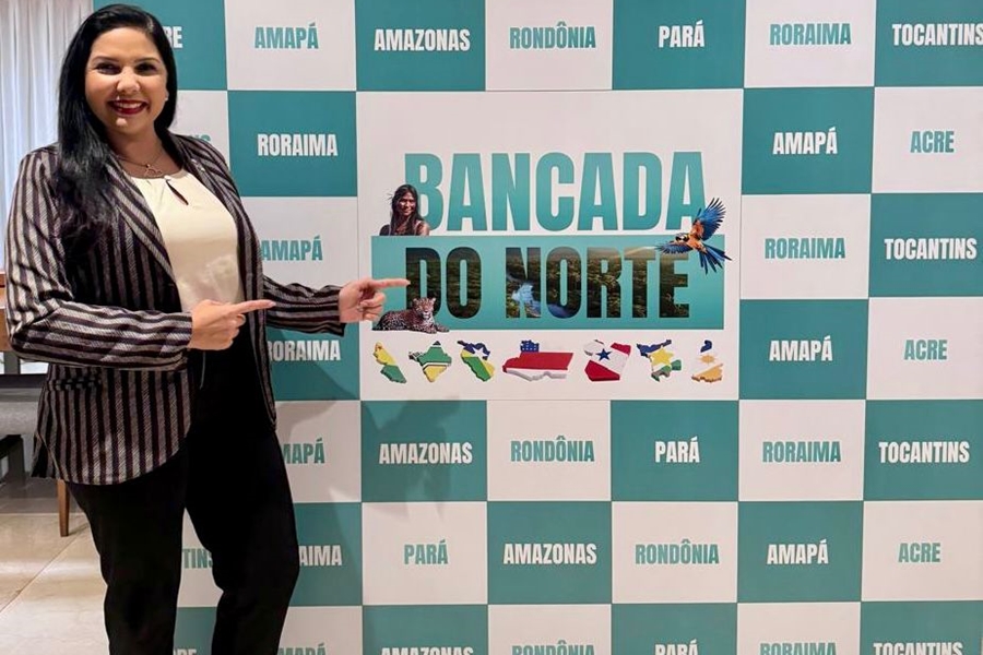BANCADA DO NORTE: Deputada Cristiane Lopes destaca união para desenvolvimento regional
