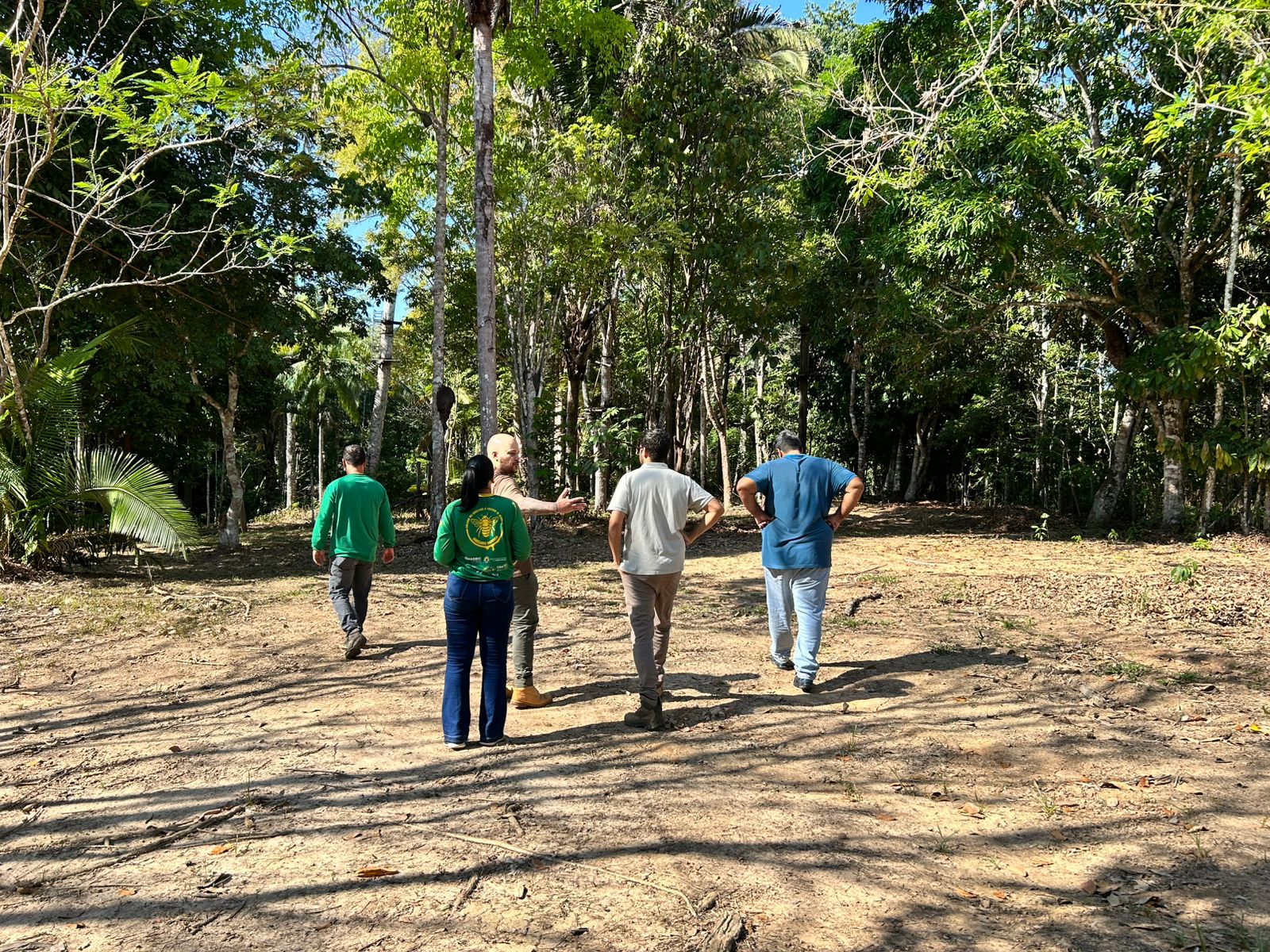 EDUCAÇÃO AMBIENTAL: Parque Raimundo Paraguaçu receberá meliponários para conscientização 