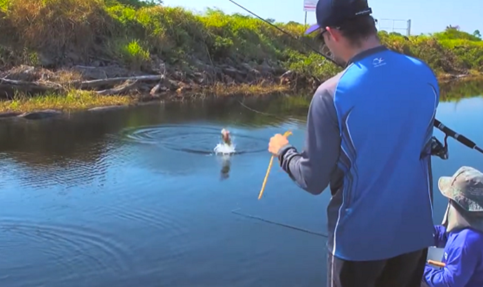 RONDÔNIA: Sebrae aposta no turismo como modelo de desenvolvimento