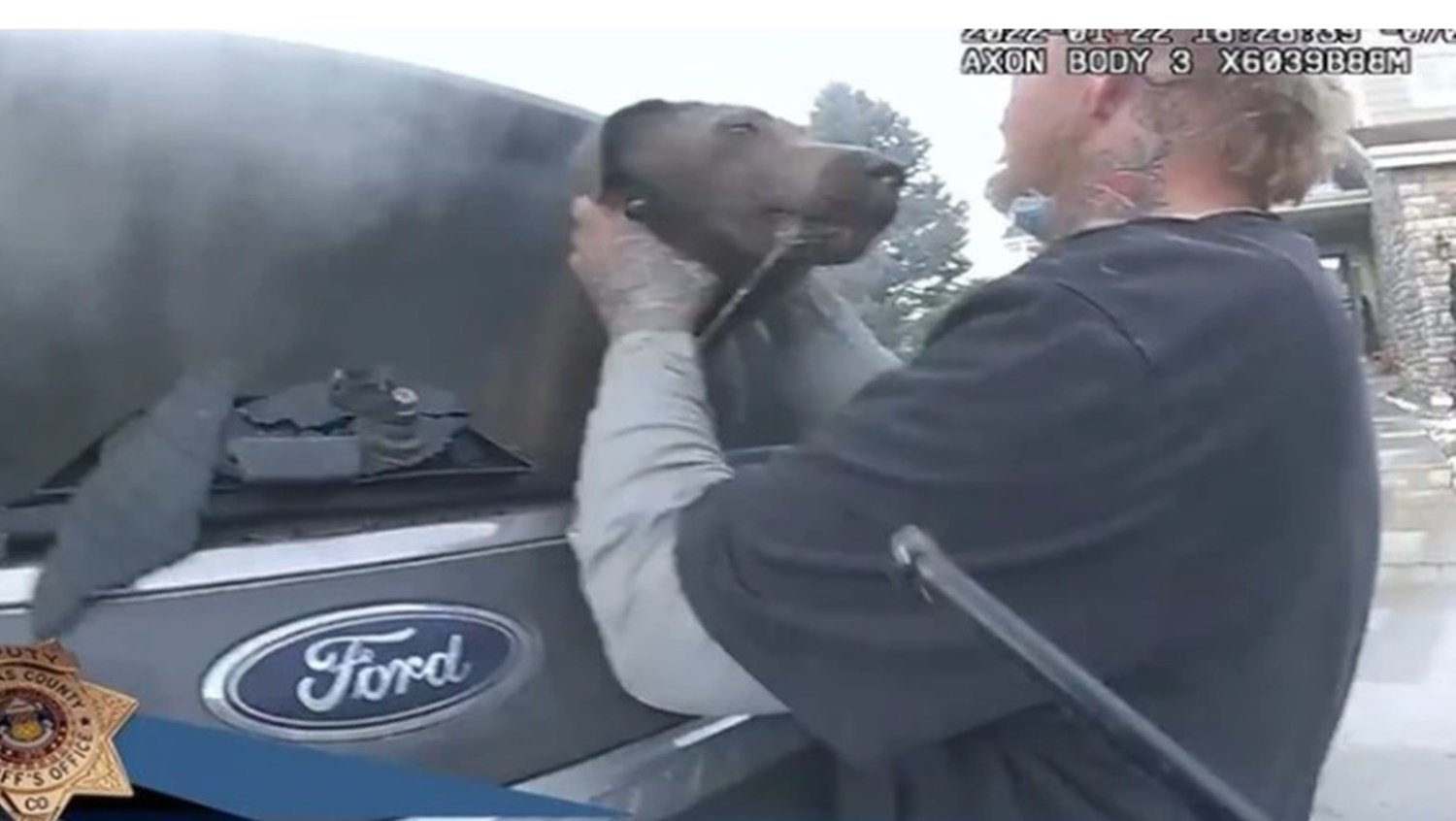 ANGUSTIANTE: Viraliza vídeo de cachorro sendo resgatado de carro em chamas