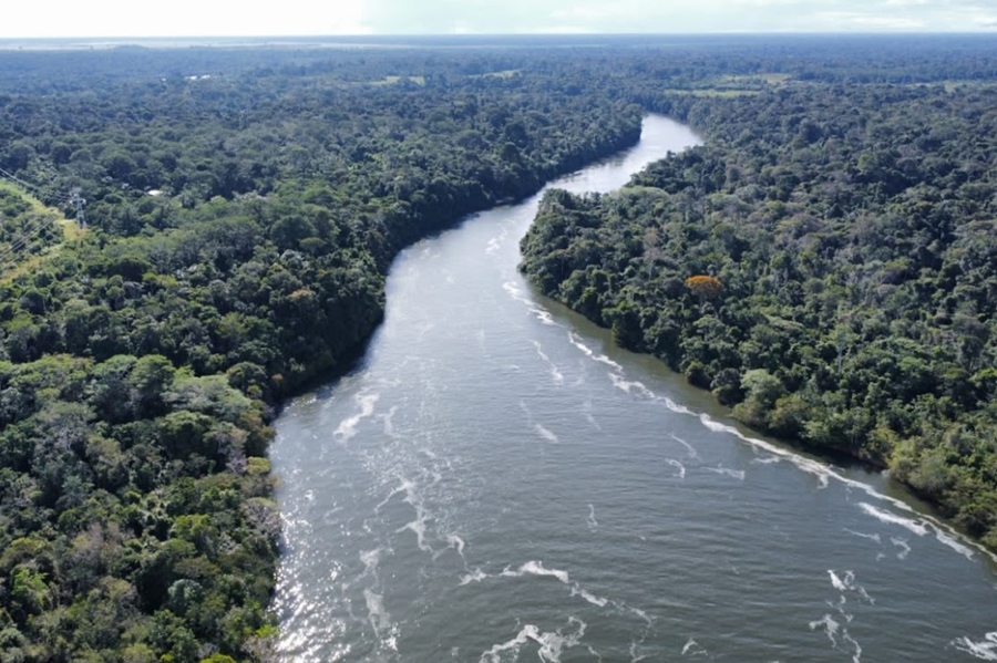 PRESERVAÇÃO: Justiça diz que invasores devem sair de reserva ecológica em Rondônia
