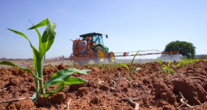 RESULTADO: Bioinseticidas têm sido eficazes no controle da lagarta do milho