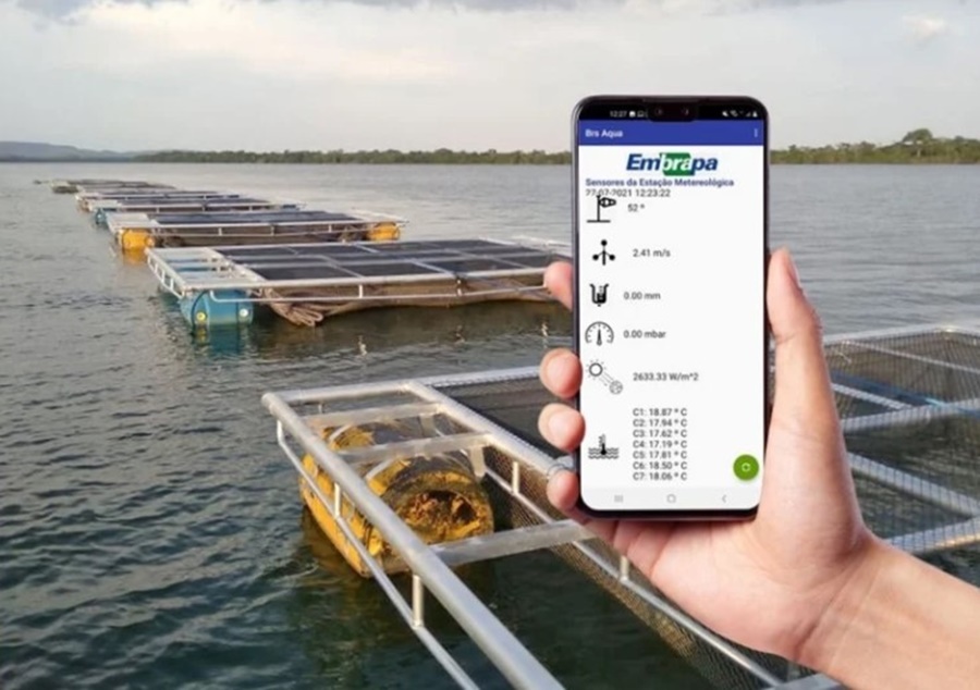 TEMPO REAL: Tecnologia transmite dados da piscicultura para o celular do produtor
