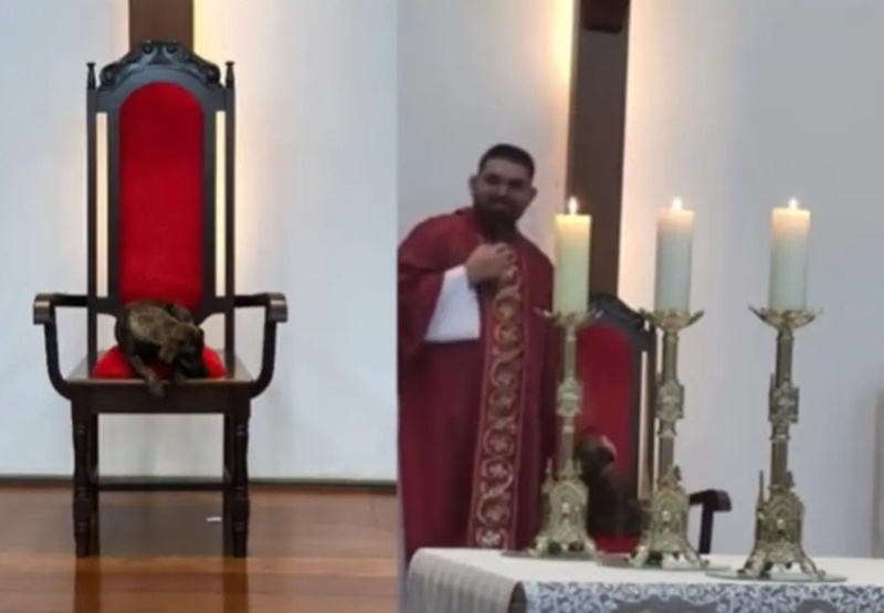BATIZADO: Cachorro entra na missa, senta na cadeira do padre e ganha um lar