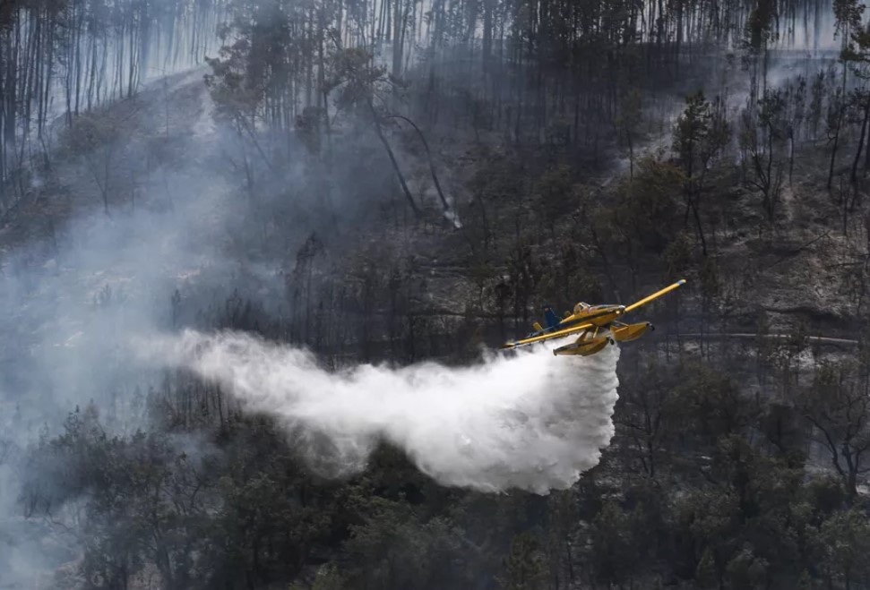 CLIMA: Aumento de mortes em Portugal pode ter relação com onda de calor
