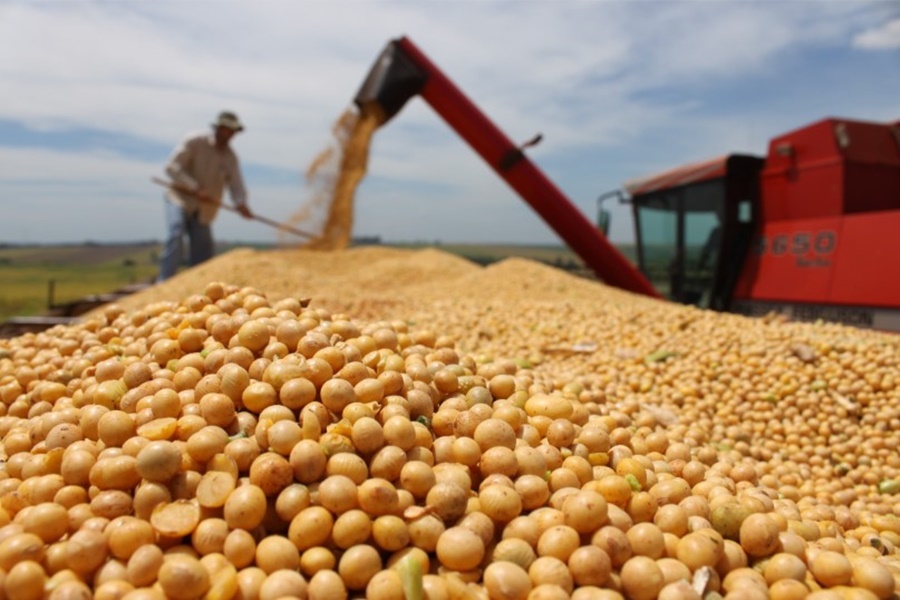 ESTUDO: Desaceleração da China pode afetar produtores de soja no Brasil