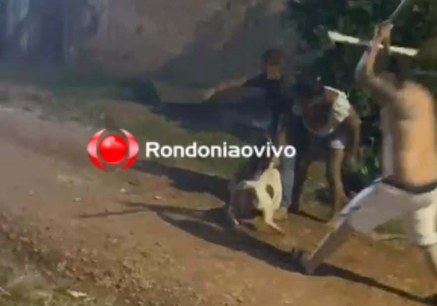 VÍDEO: Criança fica em estado grave ao ser atacada por cão Pitbull 