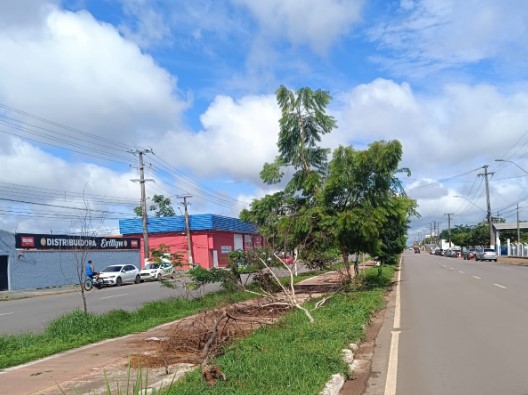 AINDA ESTOU AQUI: Prefeitura ignora pedido de providência sobre ciclovia bloqueada por árvore caída