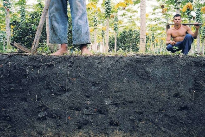 FUTURO DO MERCADO: Dados revelam tendências e oportunidades para o mercado de imóveis