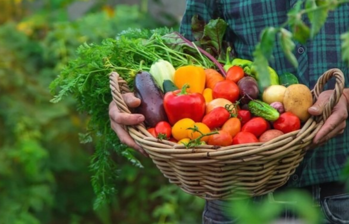 ALIMENTO NA MESA: Mais de 25 milhões saem da fome com reforço em políticas alimentares