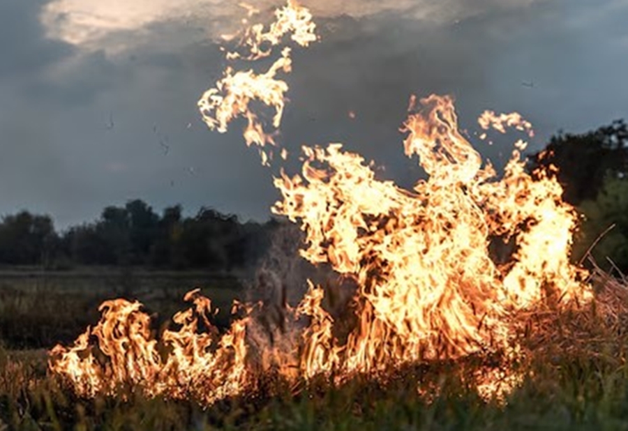 ALERTA: Rondônia tem aumento de 50% nos focos de queimadas, indica INPE