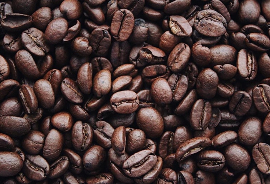 NO TOPO: Rondônia é o líder da colheita de café no Brasil, aponta estudo da USP