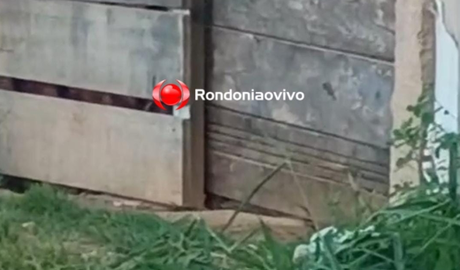 URGENTE: Pitbulls fogem de residência e atacam casal de idosos na zona Leste