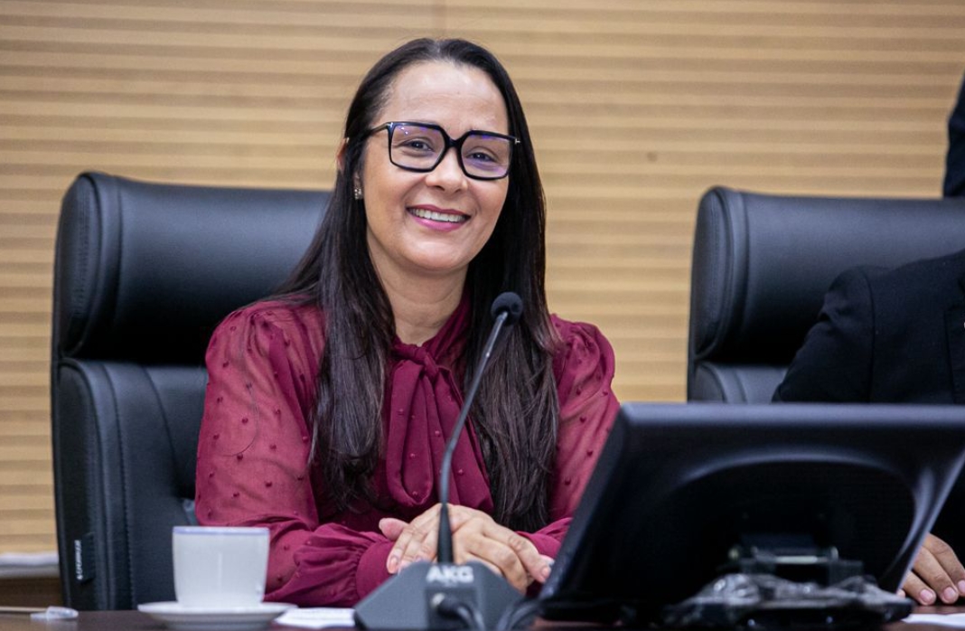 ROSANGELA DONADON: Recuperação da RO-010 é solicitada pela deputada para o trecho de Urupá