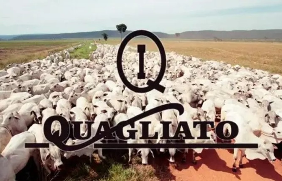 FAZENDA: Fechada maior negociação imobiliária do campo no Brasil