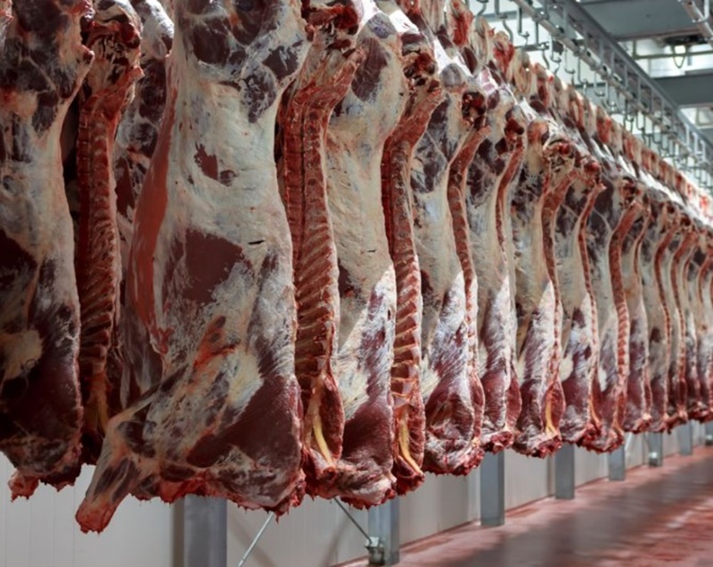 109 PAÍSES: Exportação de Carne bovina no mês de junho cresce 37% em receita