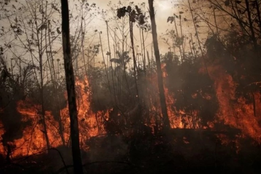 TRISTEZA: Desmatamento ilegal da Amazônia no último ano chega a 8,5 mil km²