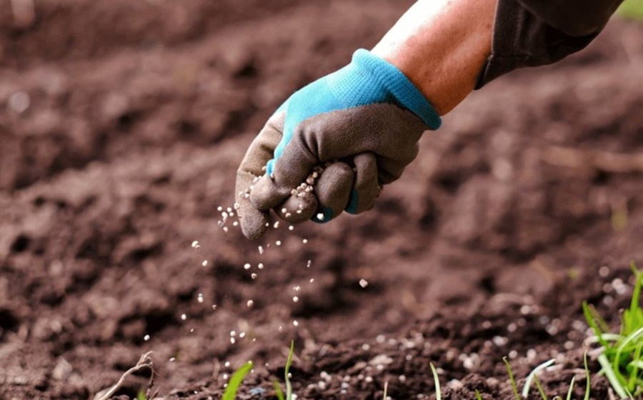 FERTILIZANTES: Ministro diz que restringir comércio reduz oferta de alimentos