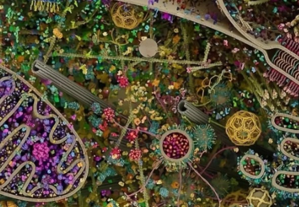 PARECE ARTE: A visão mais nítida e detalhada de uma célula humana em 3D