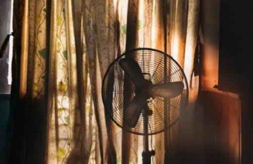 ESTRESSE TÉRMICO: Uso de ventiladores em dias extremamente quentes pode ser prejudicial