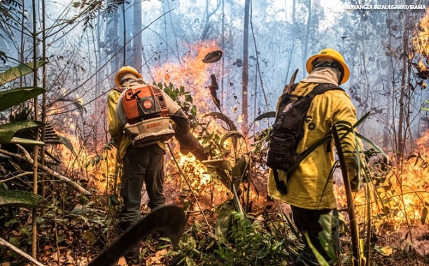 COP30: Brasil alcança menor índice de focos de calor dos últimos 12 anos
