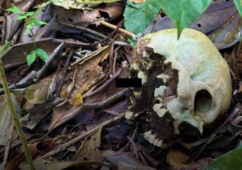 'NOVA REALIDADE': PCRO prende suspeitos em operação envolvendo crimes de abuso e homicídio